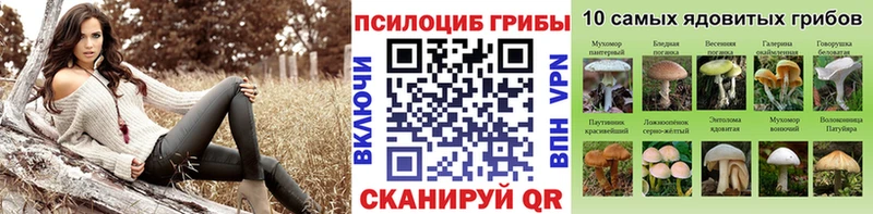 Галлюциногенные грибы Magic Shrooms Чегем