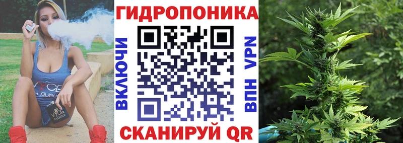Шишки марихуана THC 21%  ссылка на мегу рабочий сайт  Чегем  купить наркотик 